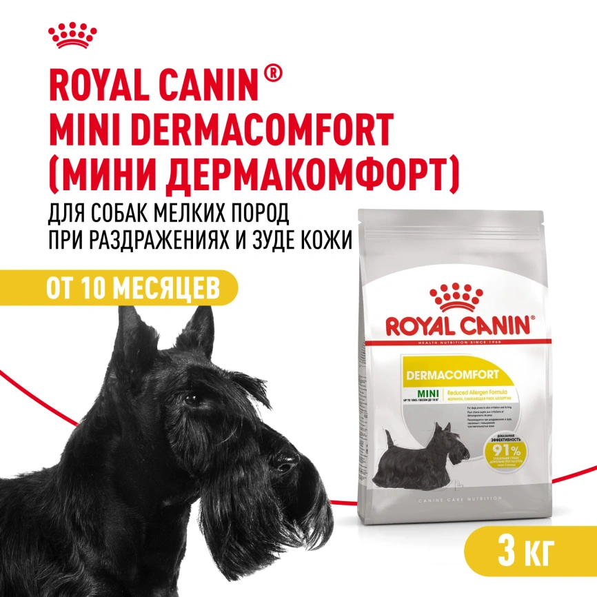 Сухой корм Royal Canin Mini Dermacomfort для собак, 3 кг фото 1