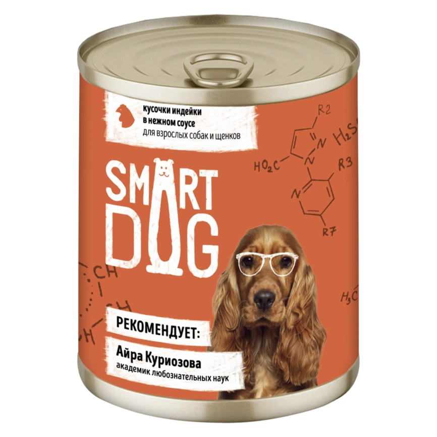 Влажный корм Smart Dog для для взрослых собак и щенков, кусочки индейки в нежном соусе, 240 г фото 1