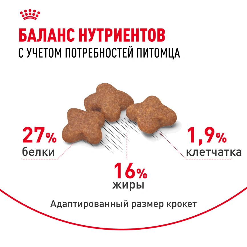 Сухой корм Royal Canin Mini Adult для взрослых собак, 8 кг фото 4