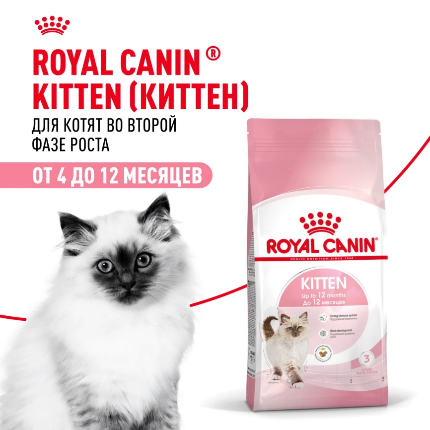 Сухой корм Royal Canin Kitten для котят, 4 кг фото 13