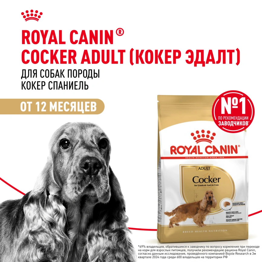 Сухой корм Royal Canin Cocker Adult для собак породы кокер-спаниель, 3 кг фото 12