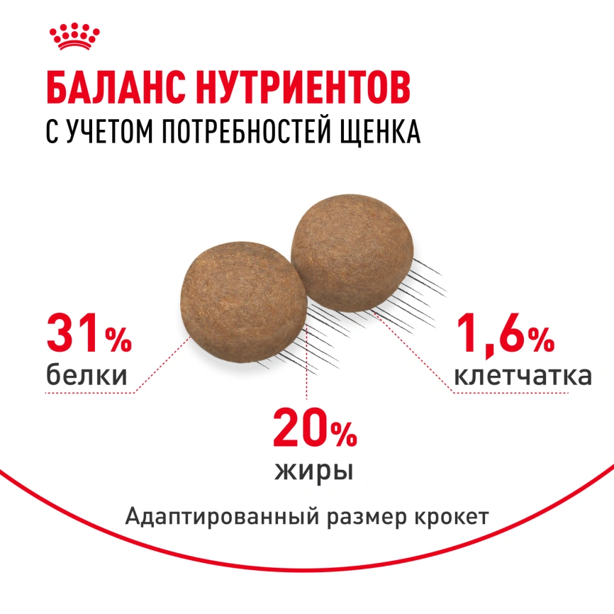 Сухой корм Royal Canin Mini Puppy для щенков, 2 кг фото 4