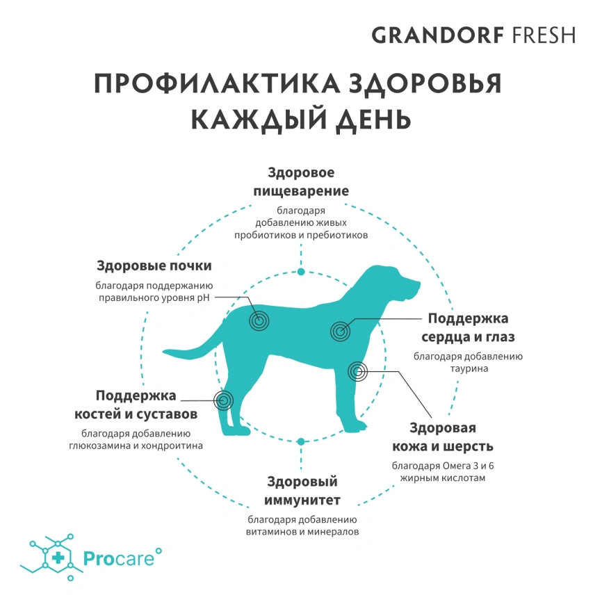 Сухой корм Grandorf Fresh Dog для взрослых собак крупных пород чувствительное пищеварение или склонность к аллергии ягненок с бататом 10 кг фото 4
