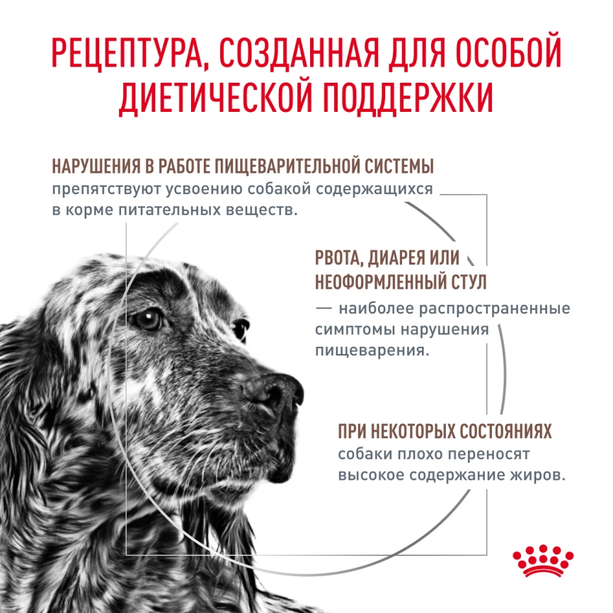 Сухой корм Royal Canin Gastrointestinal Low Fat для собак, 12 кг фото 3