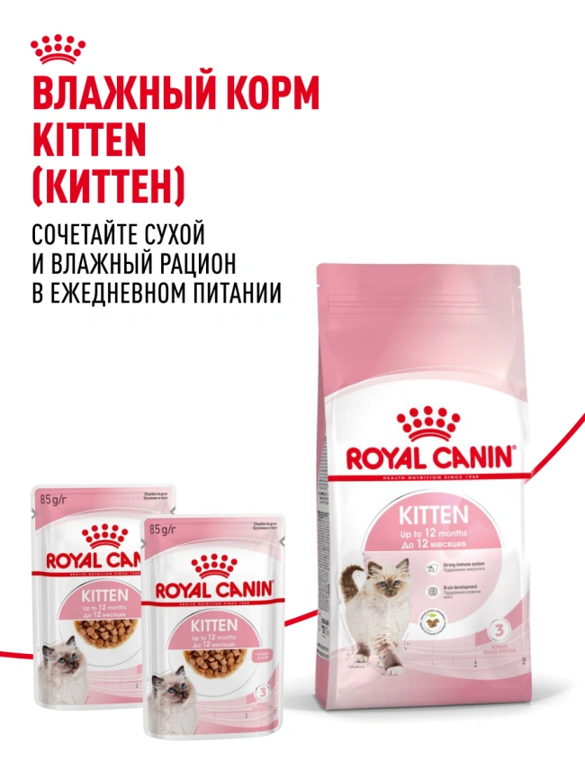 Сухой корм Royal Canin Kitten для котят, 300 г фото 25