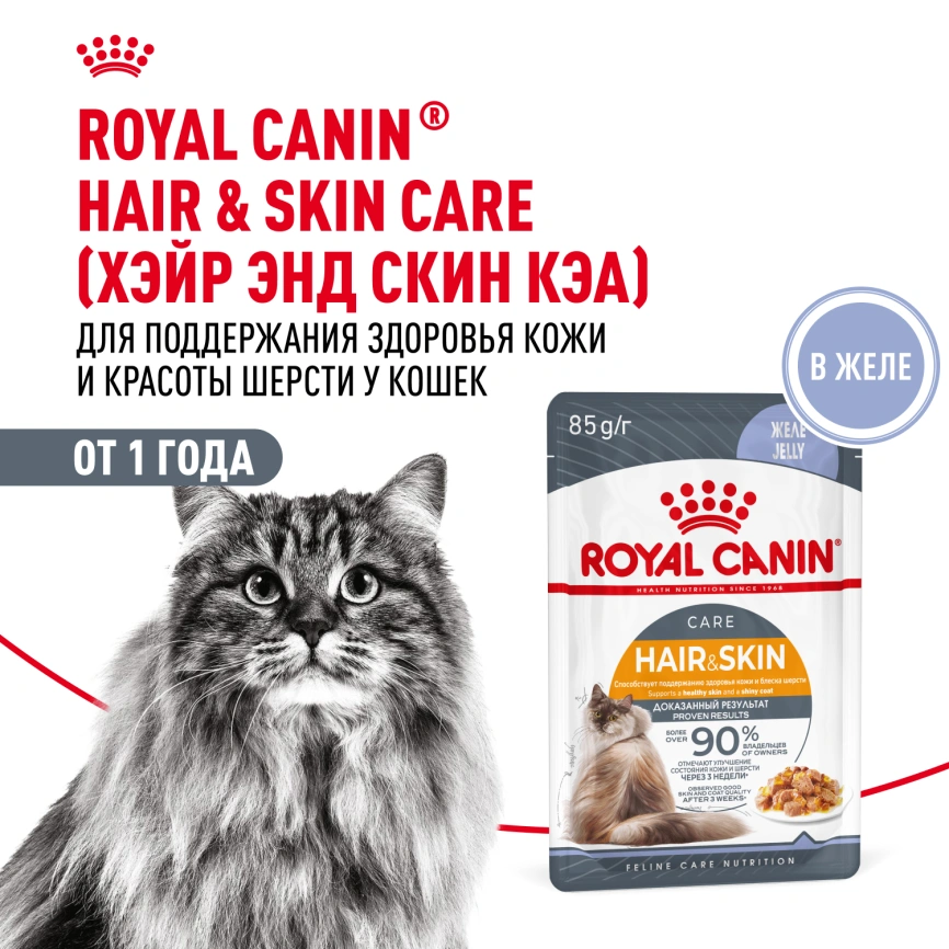 Влажный корм Royal Canin Hair &amp; Skin Care в желе для взрослых кошек старше 1 года, пауч, 85 г фото 16