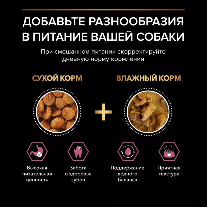 Сухой корм PRO PLAN Salmon для взрослых собак мелких и карликовых пород с чувствительной кожей, с высоким содержанием лосося, 700 г фото 5
