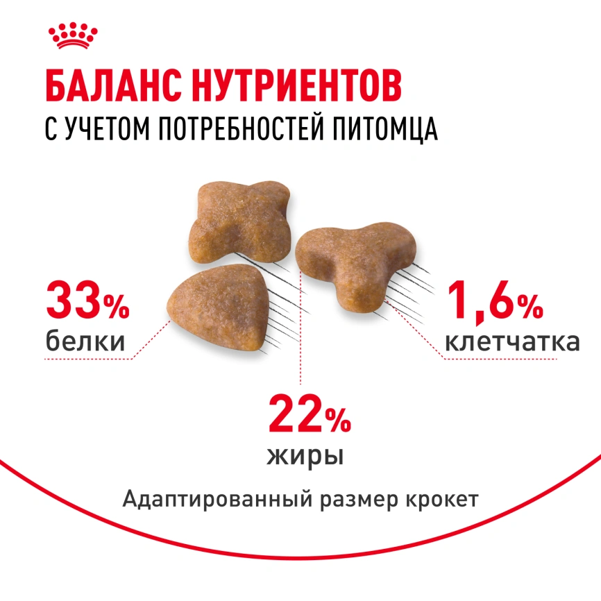 Сухой корм Royal Canin Sensible для кошек, 4 кг фото 4