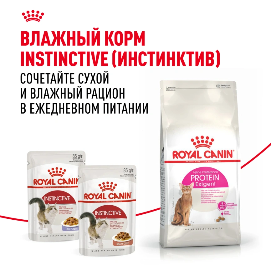 Сухой корм Royal Canin Protein Exigent для кошек фото 8