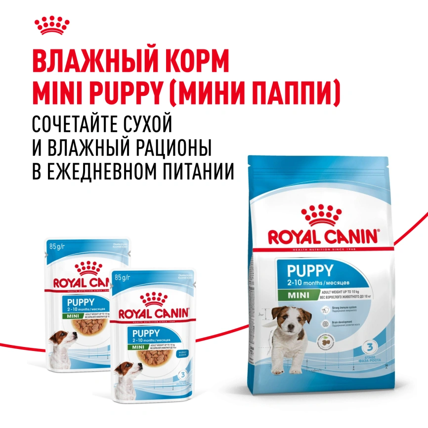 Сухой корм Royal Canin Mini Puppy для щенков, 800 г фото 9