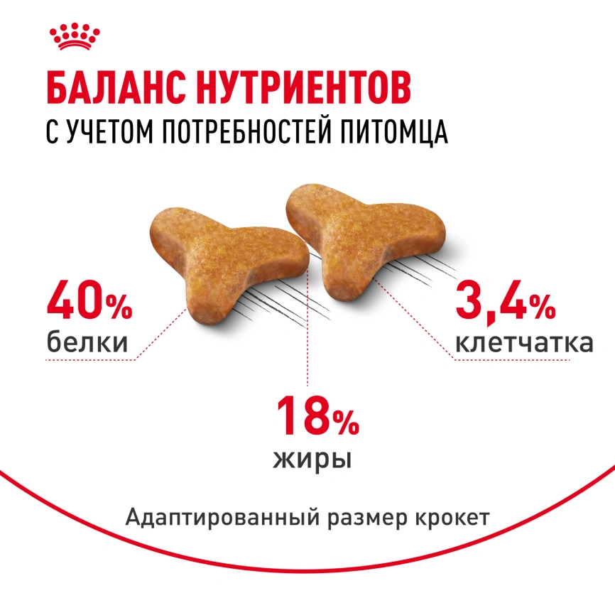 Сухой корм Royal Canin Bengal для кошек бенгальской породы, 400 г фото 4