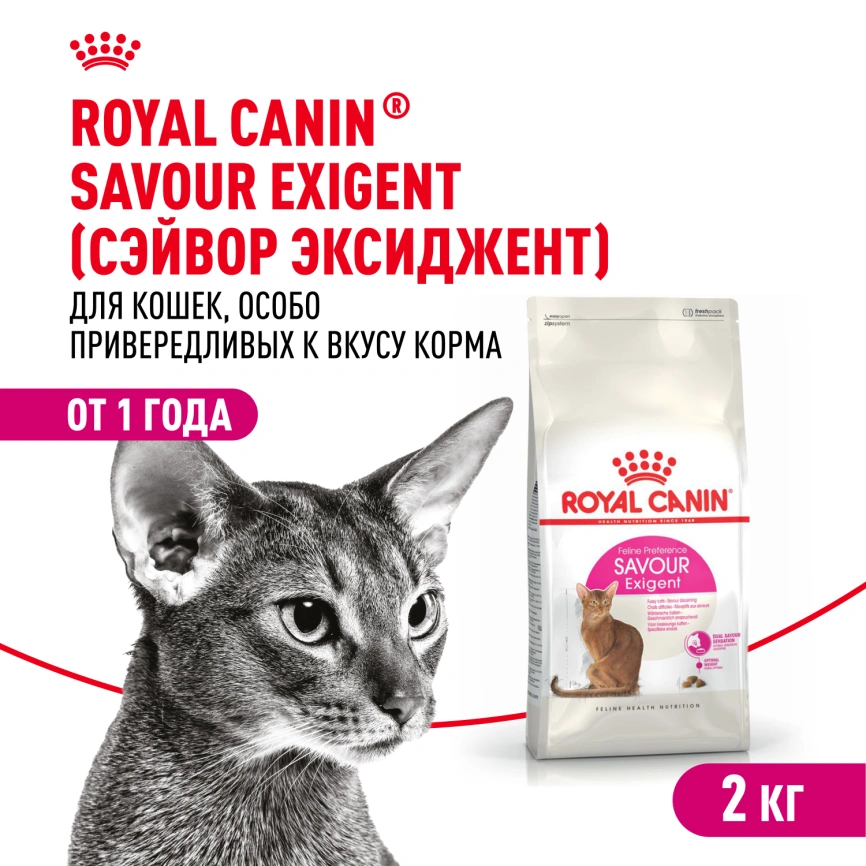 Сухой корм Royal Canin Savour Exigent для кошек, 2 кг фото 1