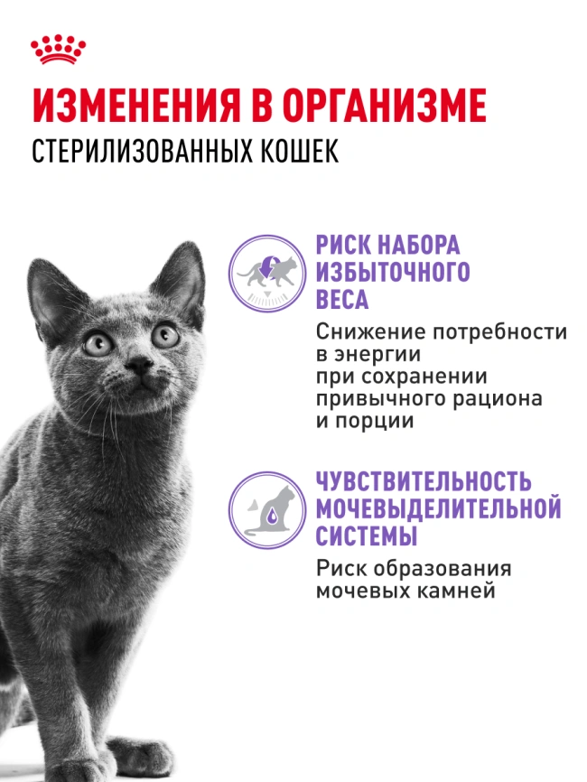 Влажный корм Royal Canin Sterilised в желе для стерилизованных кошек старше 1 года, пауч, 85 г фото 2