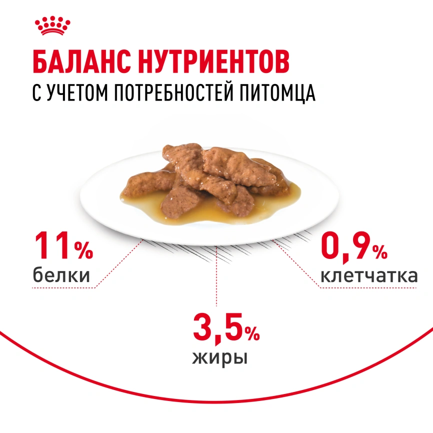 Влажный корм Royal Canin Indoor в соусе для кошек, живущих в помещении, пауч, 85 г фото 5