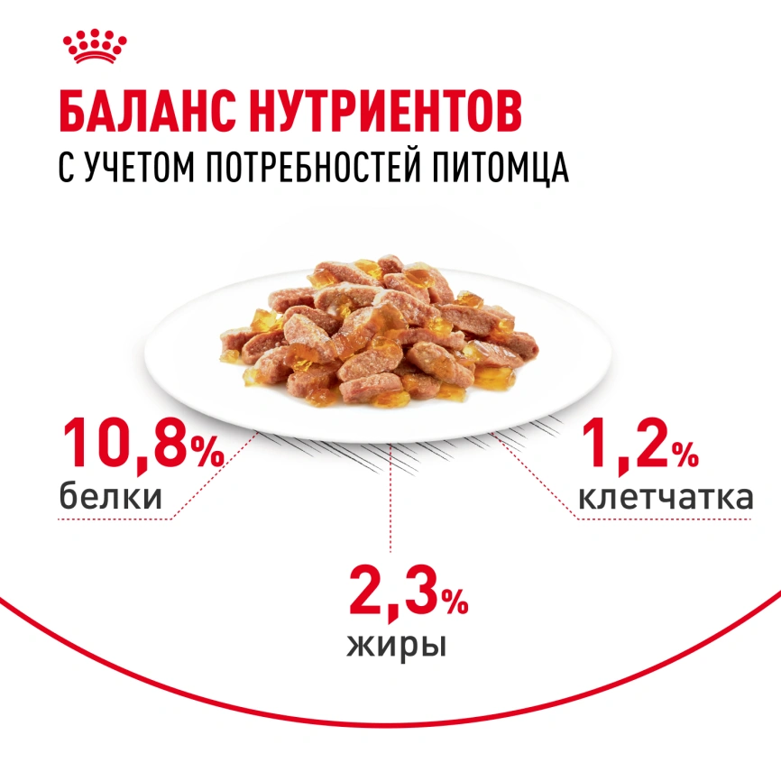 Влажный корм Royal Canin Light Weight Care в соусе для взрослых кошек, склонных к полноте, пауч, 85 г фото 5
