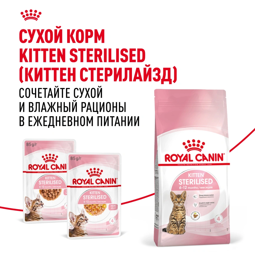 Влажный корм Royal Canin Kitten Sterilised в соусе для стерилизованных котят до 12 месяцев, пауч, 85 г фото 10