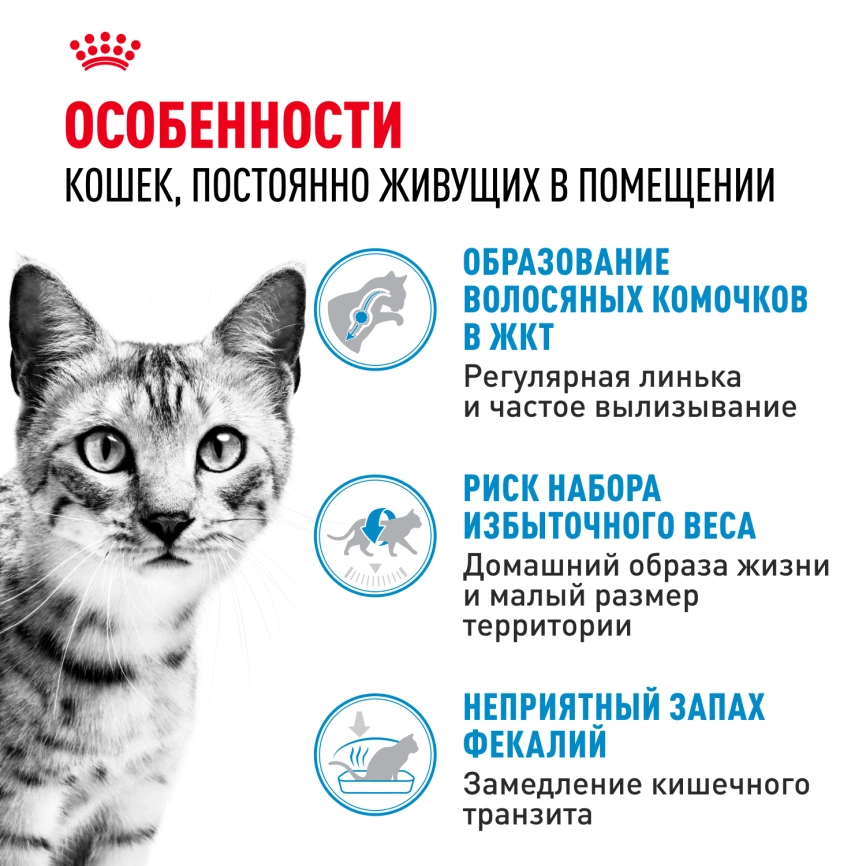 Сухой корм Royal Canin Indoor для кошек, 10 кг фото 2