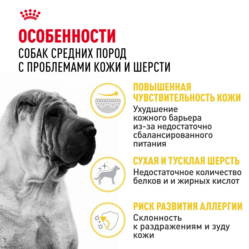 Сухой корм Royal Canin Medium Dermacomfort для собак, 10 кг фото 2
