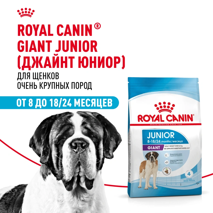 Сухой корм Royal Canin Giant Junior для щенков, 15 кг фото 11