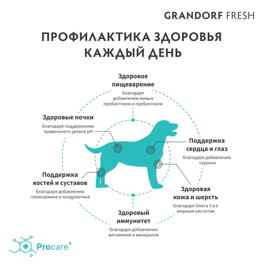 Сухой корм Grandorf Fresh Dog для взрослых собак средних и крупных пород для здоровья кожи и шерсти лосось с бататом 3 кг фото 4