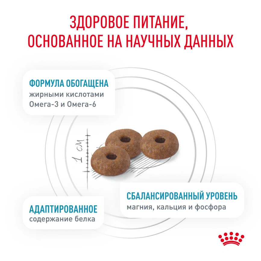 Сухой корм Royal Canin Skin & Coat для кошек, 350 г фото 6