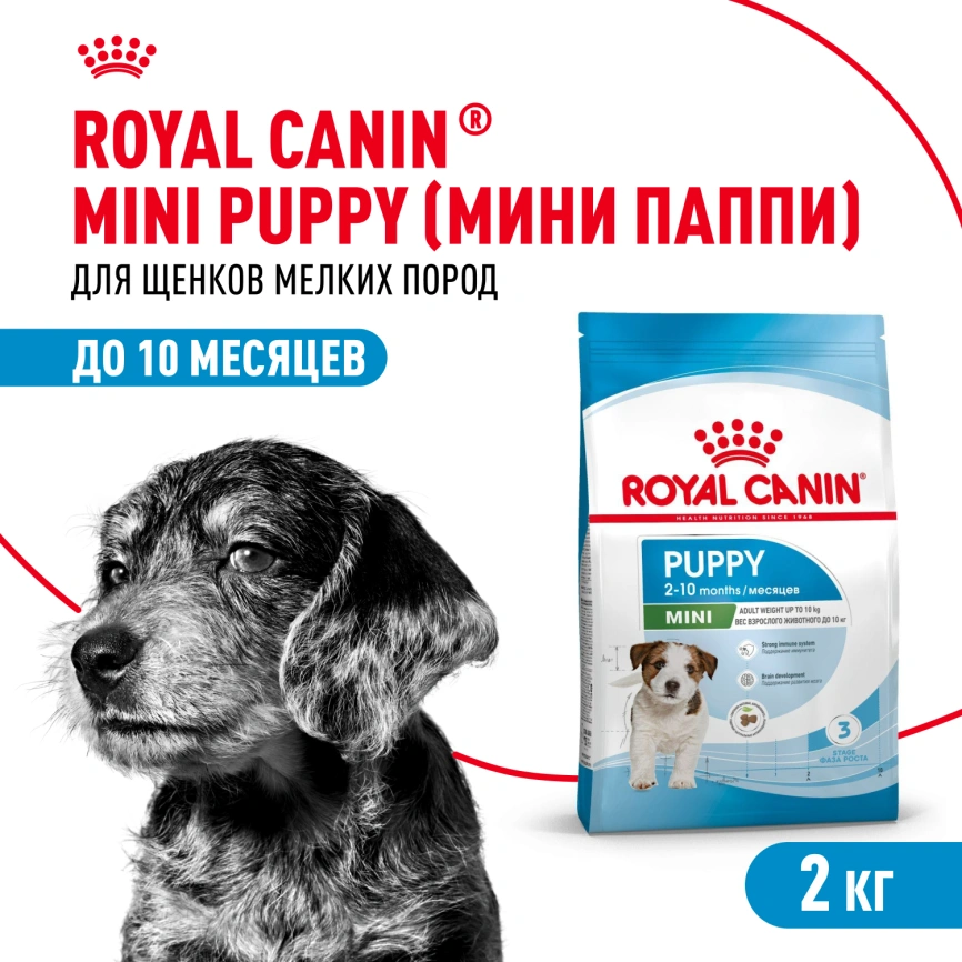 Сухой корм Royal Canin Mini Puppy для щенков, 2 кг фото 1