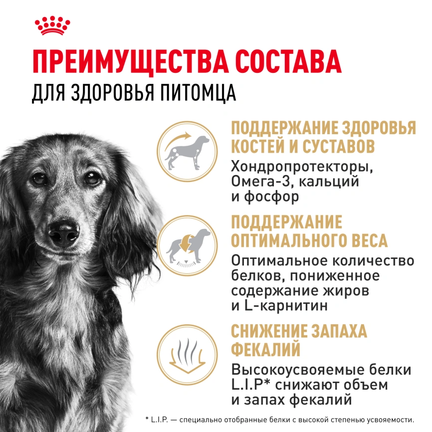Сухой корм Royal Canin Dachshund Adult для собак породы такса, 7.5 кг фото 3