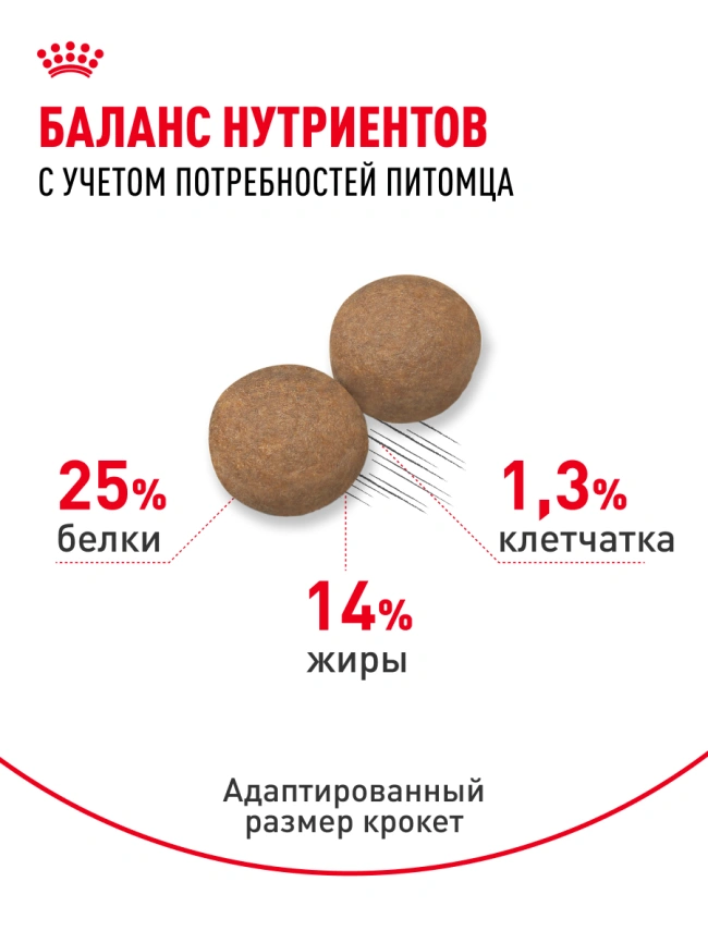 Сухой корм Royal Canin Medium Adult для собак, 15 кг фото 16