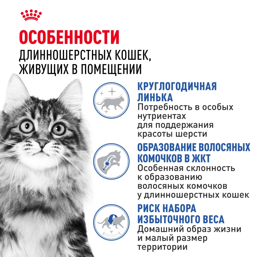 Сухой корм Royal Canin Indoor Long Hair для кошек, 400 г фото 2