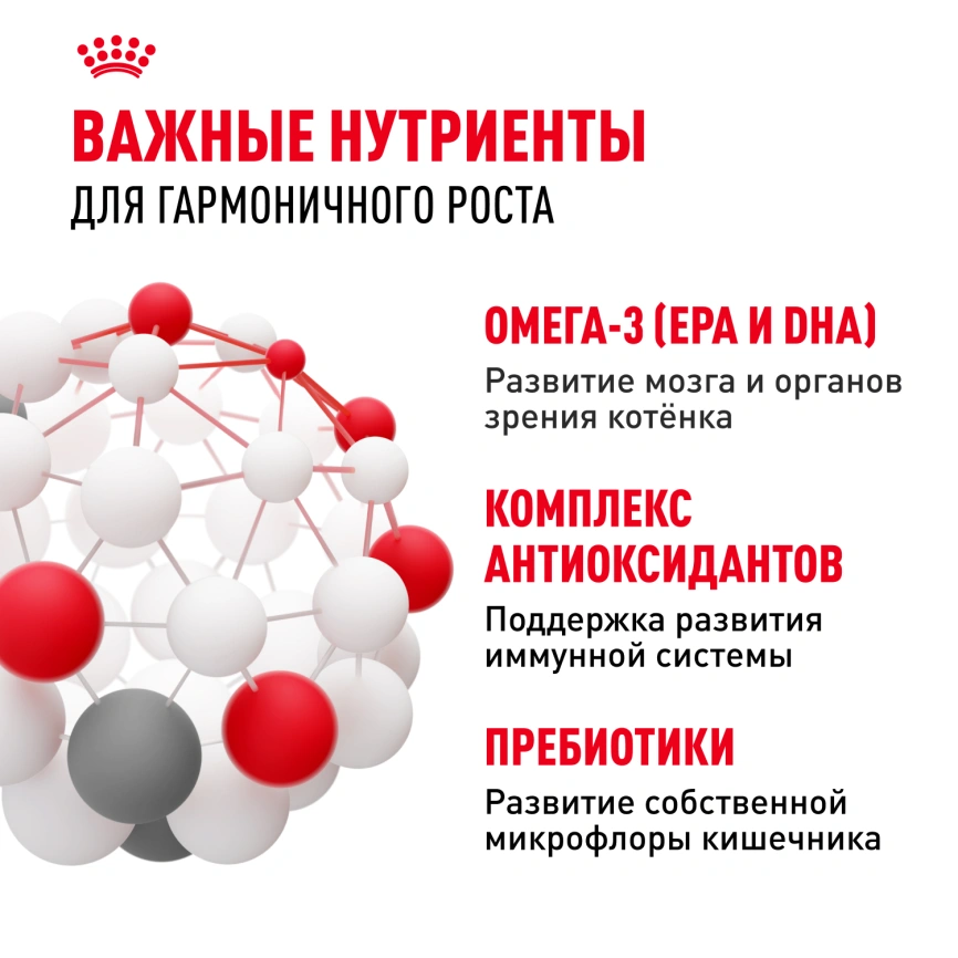 Сухой корм Royal Canin Kitten для котят, 4 кг фото 5