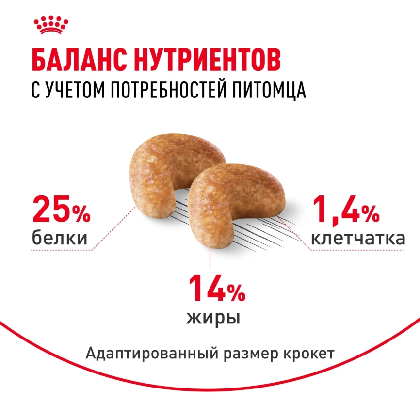Сухой корм Royal Canin Cocker Adult для собак породы кокер-спаниель, 3 кг фото 5