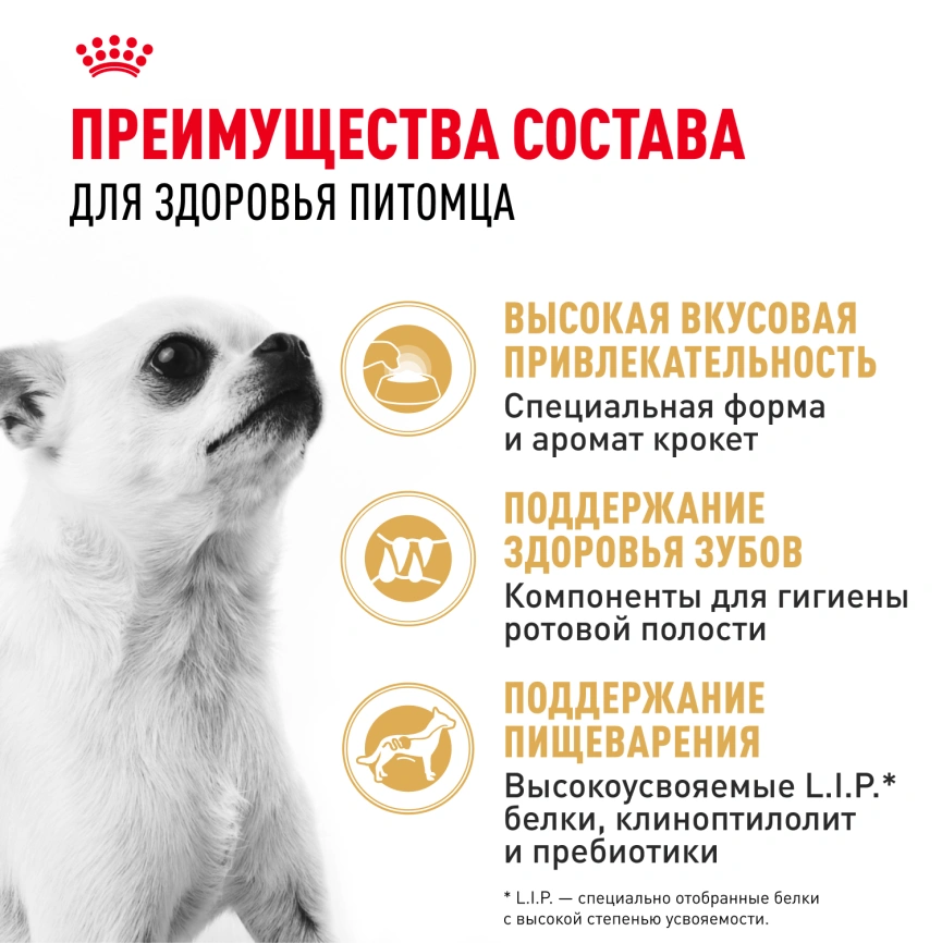 Сухой корм Royal Canin Chihuahua Adult для собак породы чихуахуа, 500 г фото 3