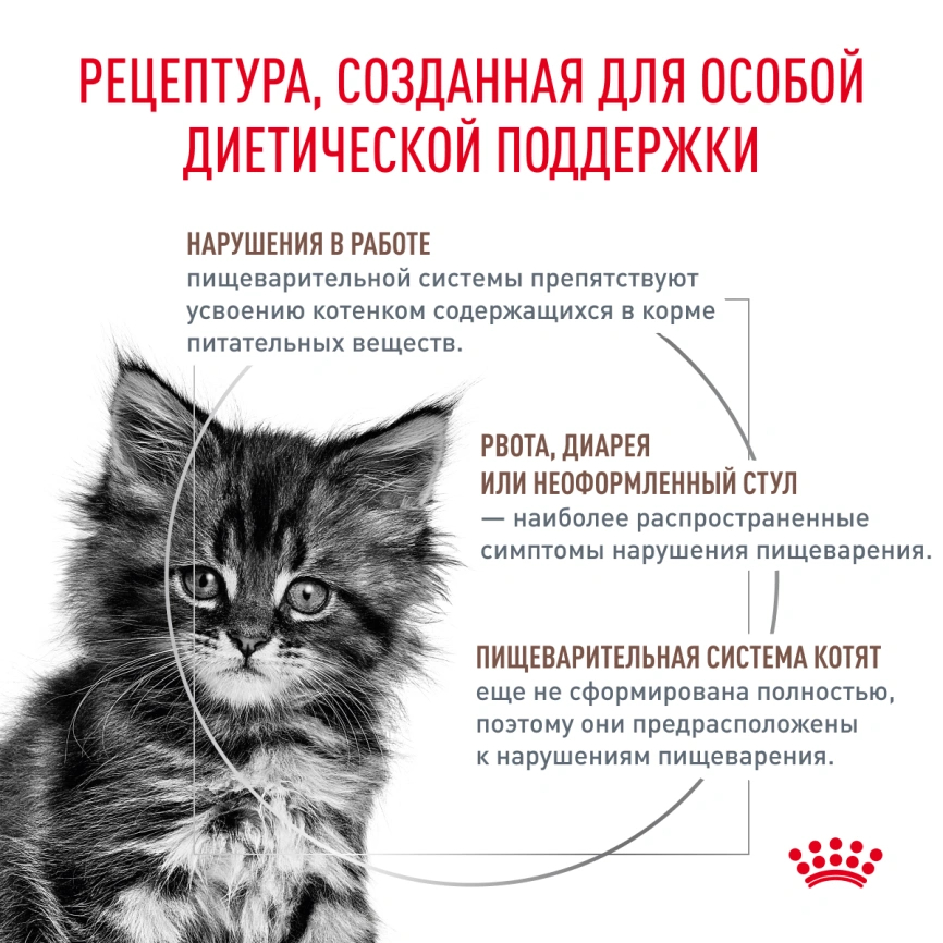 Сухой корм Royal Canin Gastrointestinal Kitten для котят, 2 кг фото 2