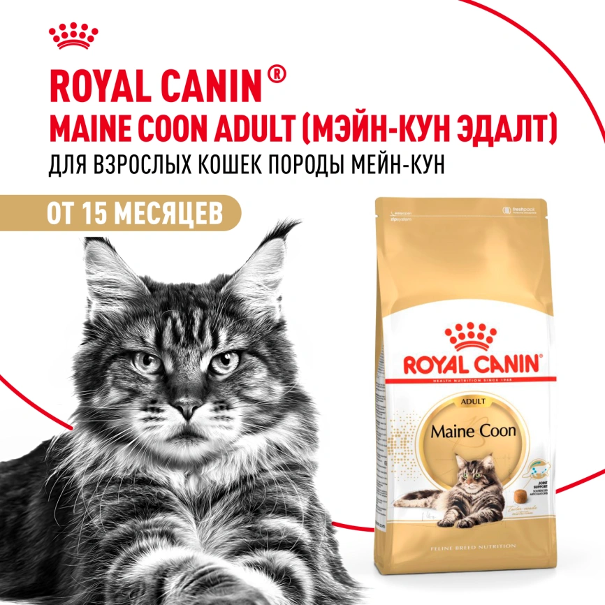 Сухой корм Royal Canin Maine Coon для кошек, 2 кг фото 12