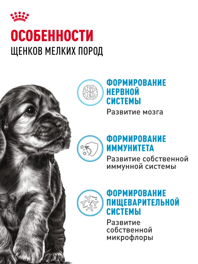 Сухой корм Royal Canin Mini Puppy для щенков, 2 кг фото 20