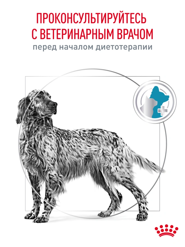 Сухой корм Royal Canin Hypoallergenic для собак, 7 кг фото 21