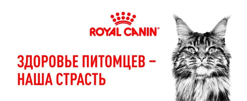 Сухой корм Royal Canin Sterilised для кастрированных котов и стерилизованных кошек, 1.2 кг фото 13