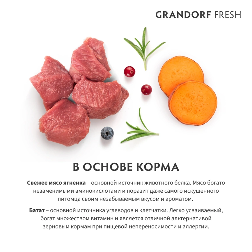 Сухой корм Grandorf Fresh Cat для взрослых кошек чувствительное пищеварение или склонность к аллергии ягненок с бататом 400 г фото 6