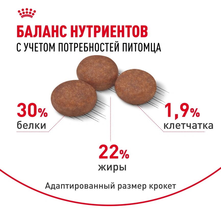 Сухой корм Royal Canin Mini Digestive Care для собак, 3 кг фото 4