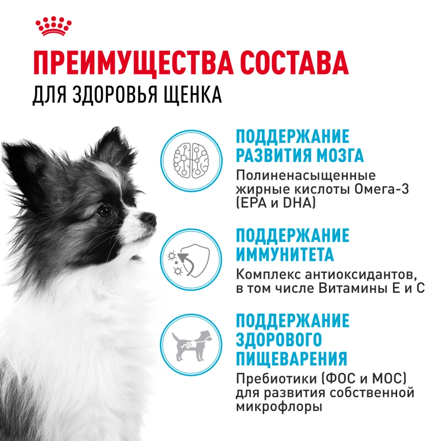 Сухой корм Royal Canin X-Small Puppy для щенков, 3 кг фото 3