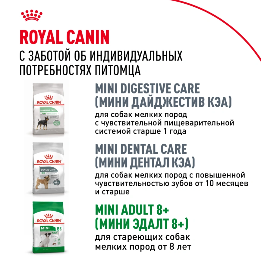 Сухой корм Royal Canin Mini Adult для взрослых собак, 2 кг фото 4