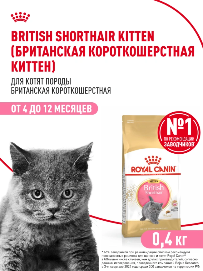 Сухой корм Royal Canin Kitten British Shorthair для котят, 400 г фото 15