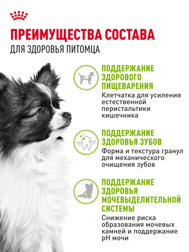 Сухой корм Royal Canin X-Small Adult для собак, 1.5 кг фото 15