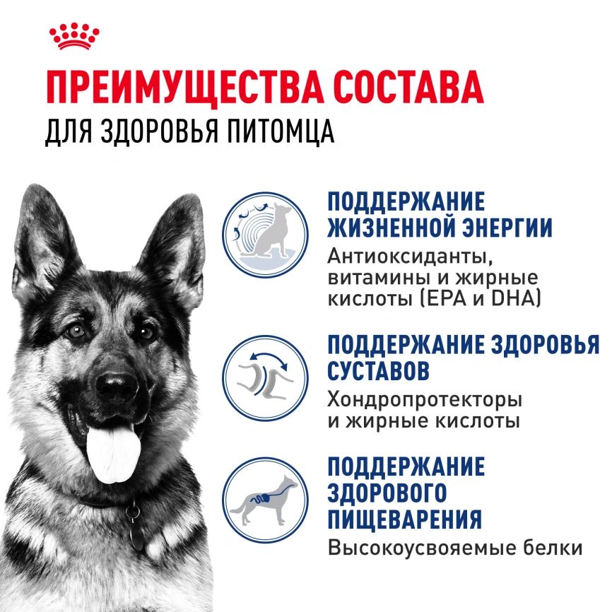 Сухой корм Royal Canin Maxi Ageing 8+ для собак, 15 кг фото 2