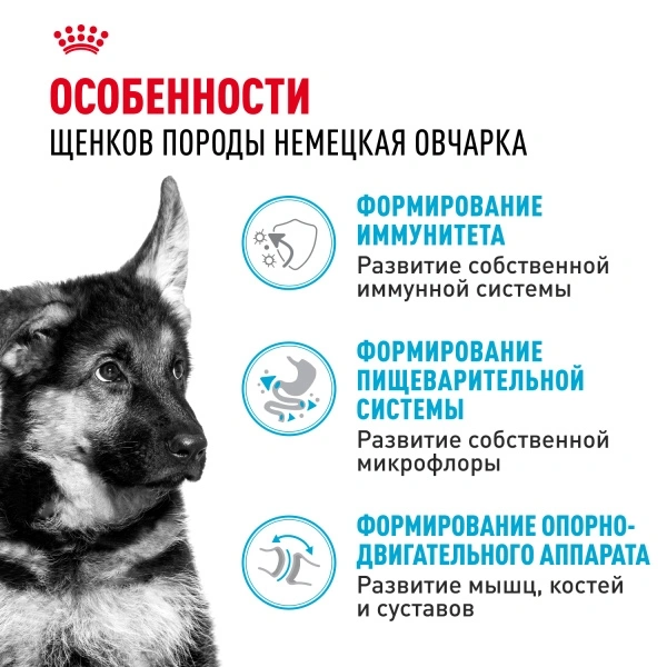 Сухой корм Royal Canin German Shepherd Puppy для щенков, 3 кг фото 2