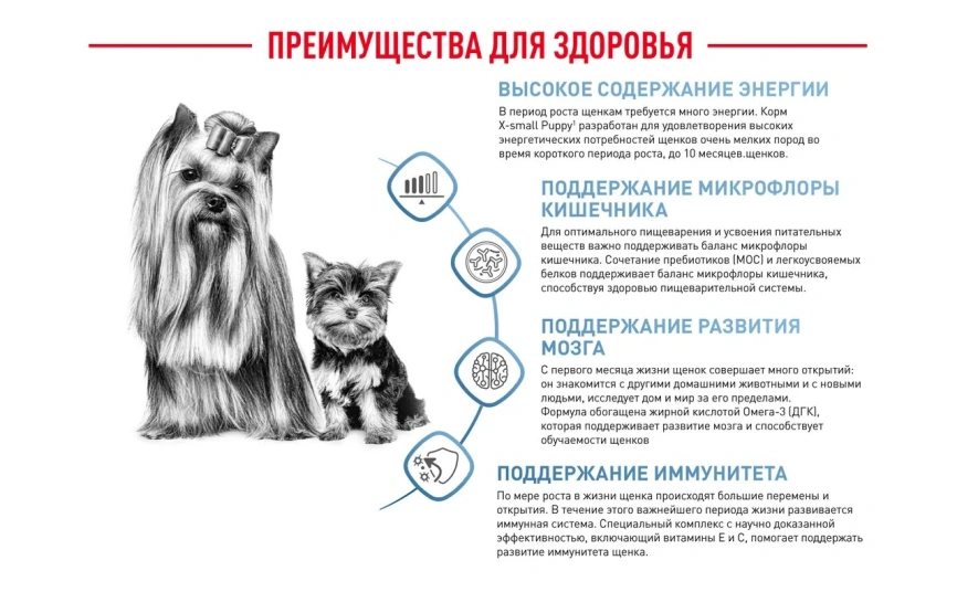 Сухой корм Royal Canin X-Small Puppy для щенков, 3 кг фото 4