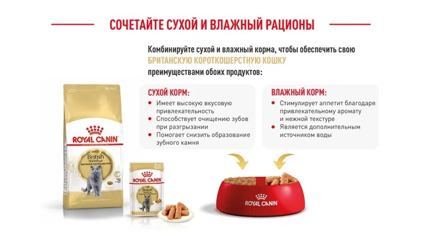 Сухой корм Royal Canin Maine Coon для кошек, 2 кг фото 17
