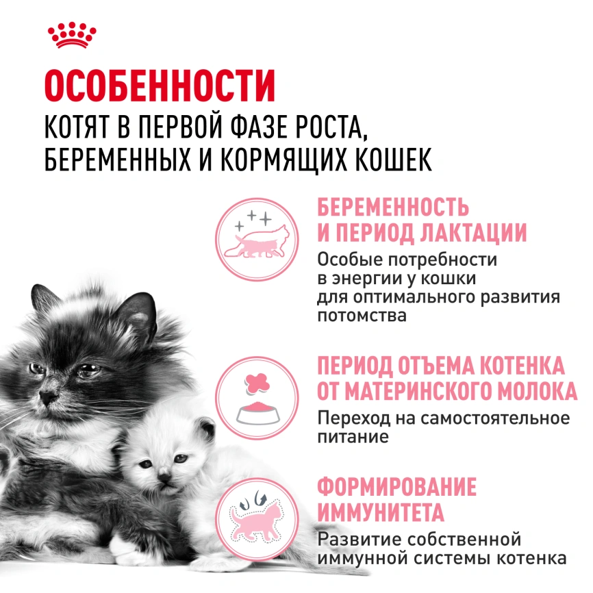 Сухой корм Royal Canin Mother & Babycat для котят, беременных и лактирующих кошек, 4 кг фото 2