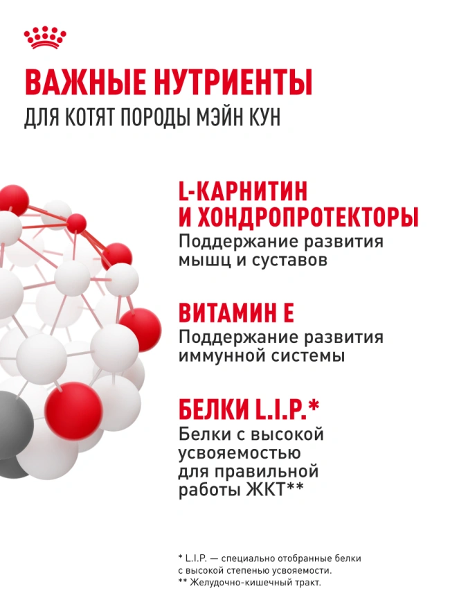 Влажный корм Royal Canin Maine Coon Kitten в соусе для котят породы мейн-кун и других крупных пород старше 3 месяцев, пауч, 85 г фото 21