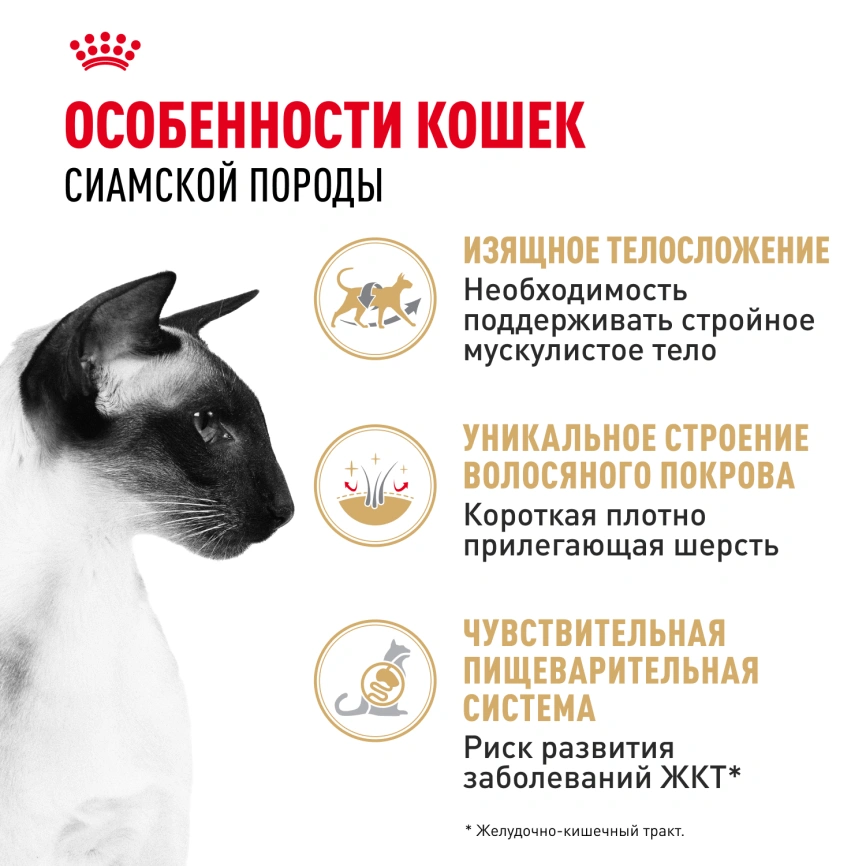 Сухой корм Royal Canin Siamese для кошек сиамской породы, 2 кг фото 2